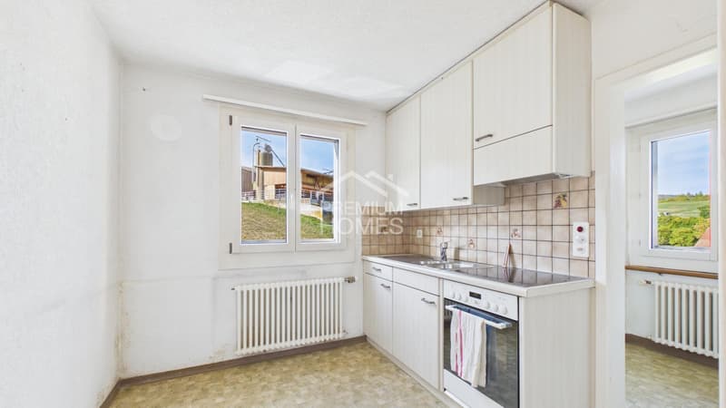Ein Rohdiamant mit Weitblick! (6)