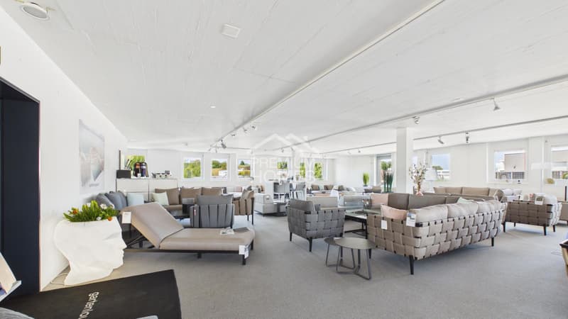 Viel Raum für Ihre Geschäftsidee - Büro, Showroom & Lager (1)