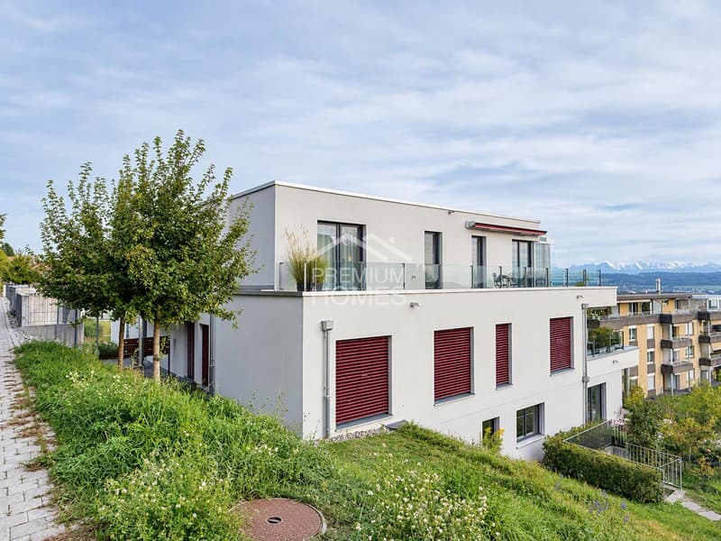 Traumwohnung mit sonniger Terrasse & 0,9% Hypothekarzins (5)