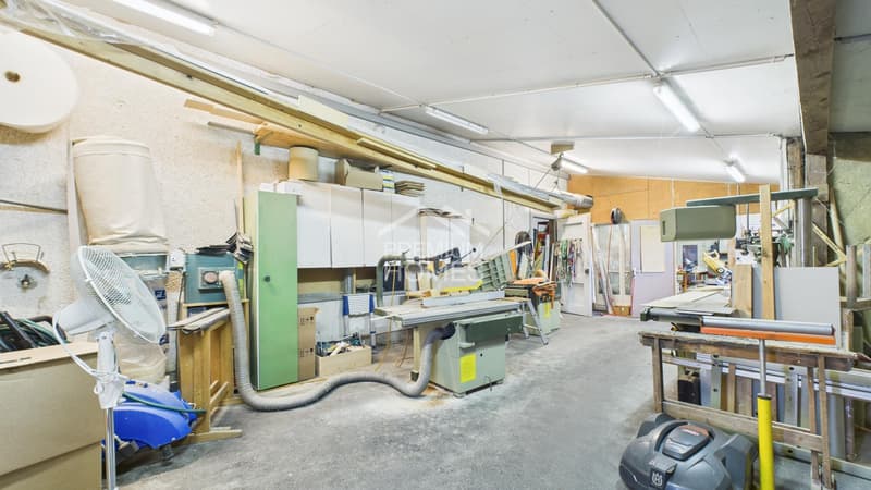 Arbeit und Wohnen vereint (2)