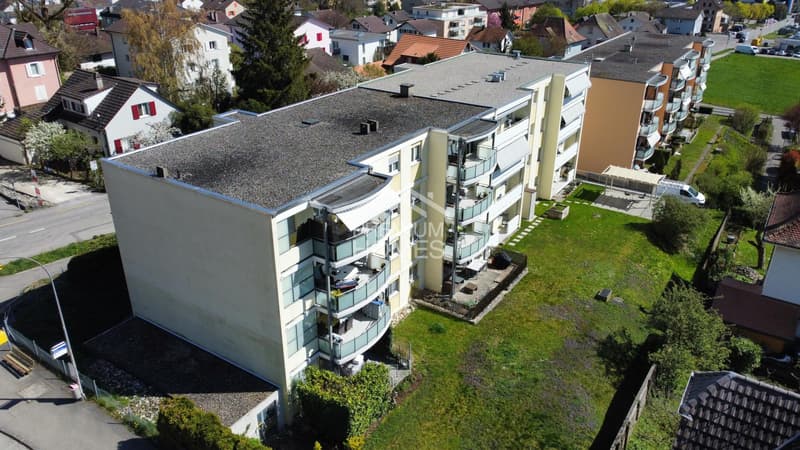 Seltene Gelegenheit! (1)