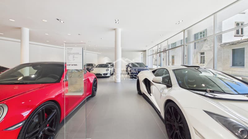 Autohaus Gewerbefläche mit Showroom oder Rendite (6)