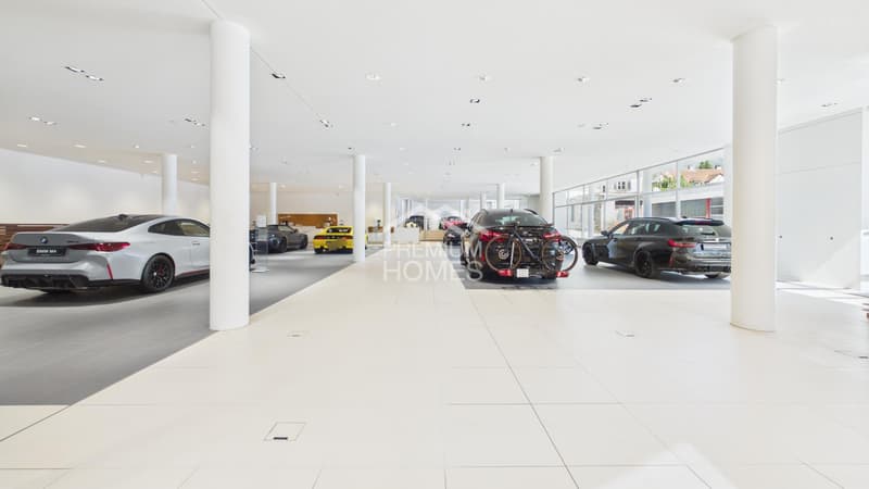 Autohaus Gewerbefläche mit Showroom oder Rendite (5)