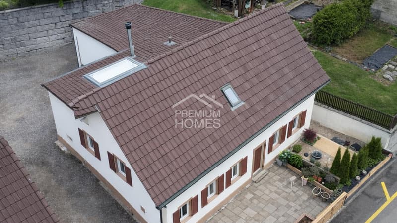 Jetzt oder nie! (4)