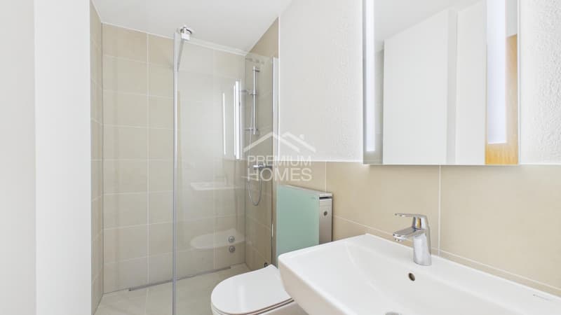 Klein, fein, voller Potenzial! Umnützung Gewerbe - Serviced Apartment (8)