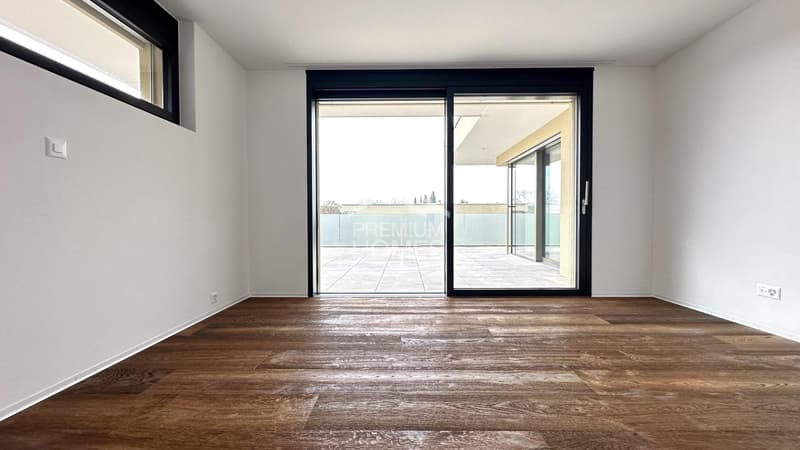 Luxuriöse 4.5 Zimmer-Attikawohnung (6)