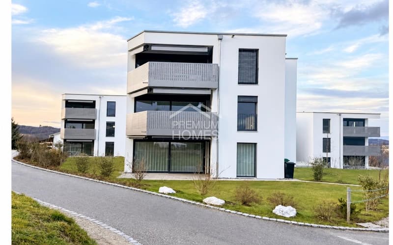 Modern Living - Stilvoll wohnen mit grosser Terrasse (1)