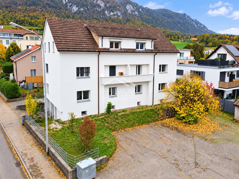 Gepflegtes Mehrfamilienhaus in sehr gutem Zustand (1)