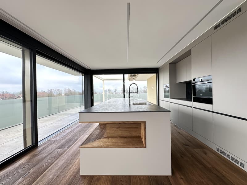 Luxuriöse 4.5 Zimmer-Attikawohnung (4)