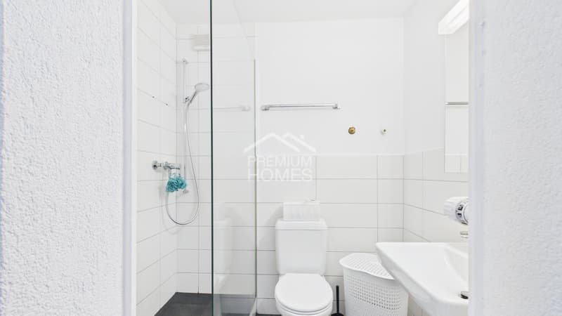 Attraktive Anlagechance: Wohnen und Gewerbe kombiniert (6)
