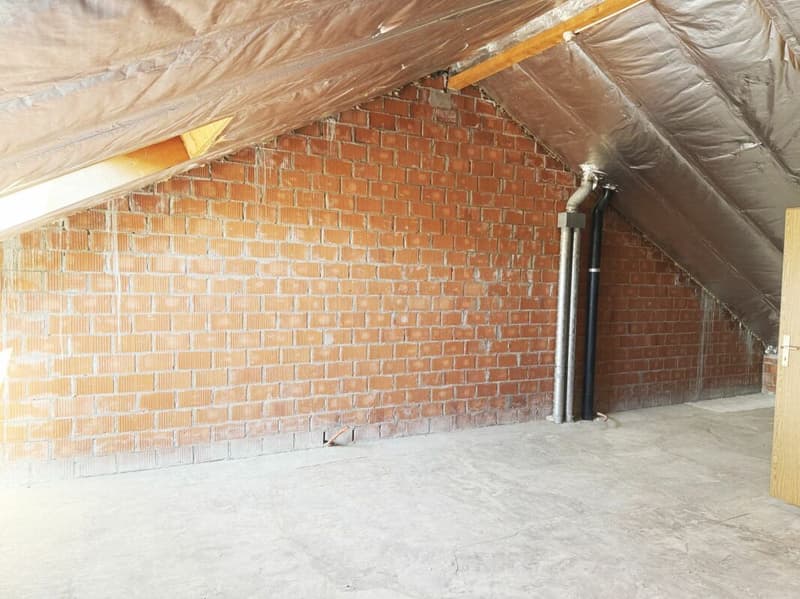 Casa a schiera con grande potenziale di ampliamento (8)
