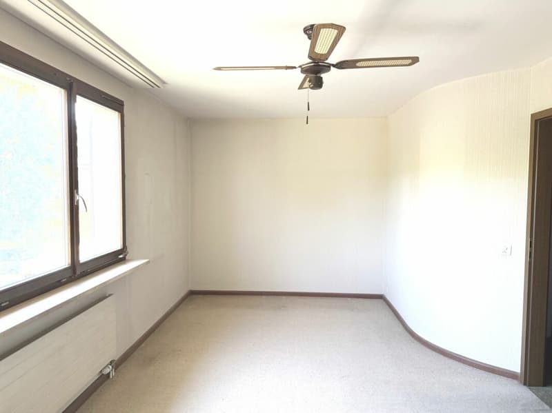 Row house with great development potential (6)