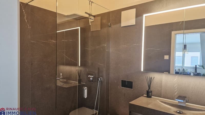 Exclusive attic apartment with balcony - modern & new (11)