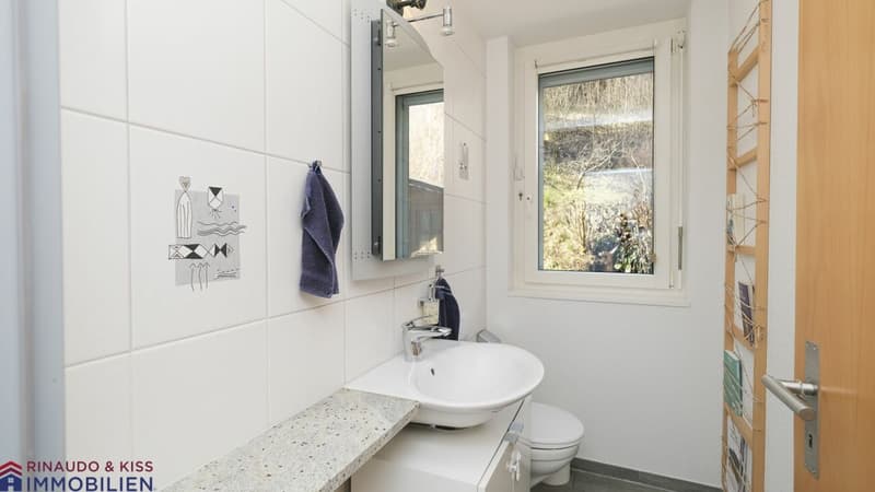 Single-family house with green oasis (13)