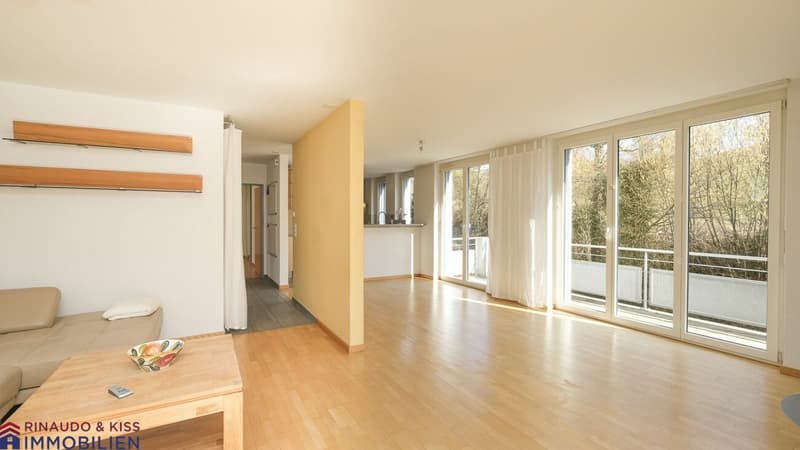 Single-family house with green oasis (5)
