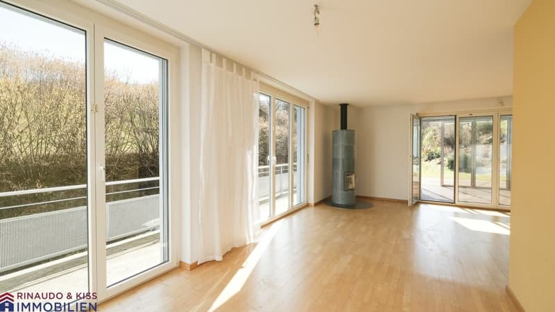 Single-family house with green oasis (6)