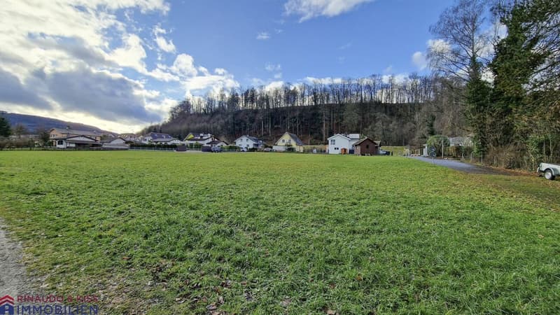 Attractive building land (subdivision possible) - directly on the Rhine with a view of the green (3)