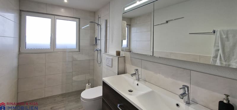 Penthouse apartment with panoramic view (12)