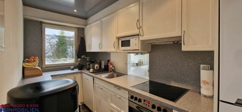 Penthouse apartment with panoramic view (6)