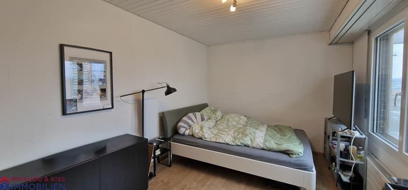 Penthouse apartment with panoramic view (8)