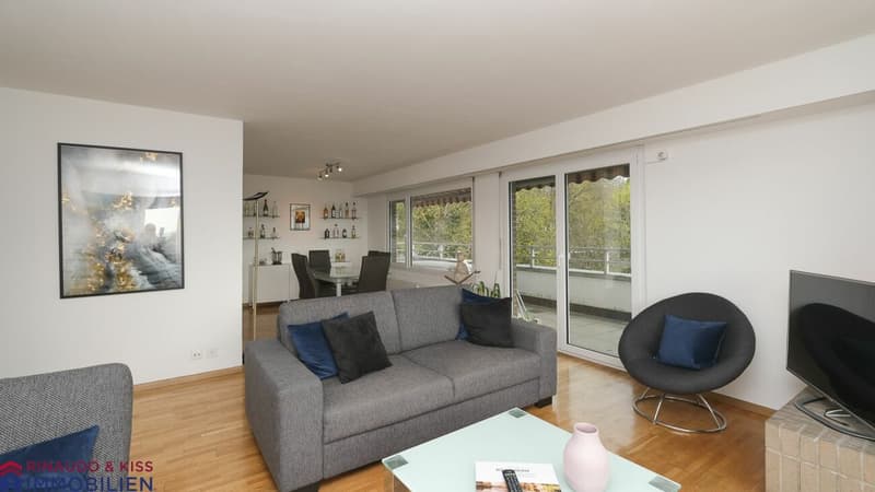 Penthouse apartment with panoramic view (4)