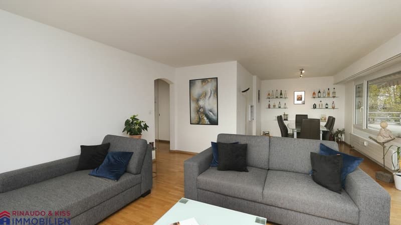 Penthouse apartment with panoramic view (2)