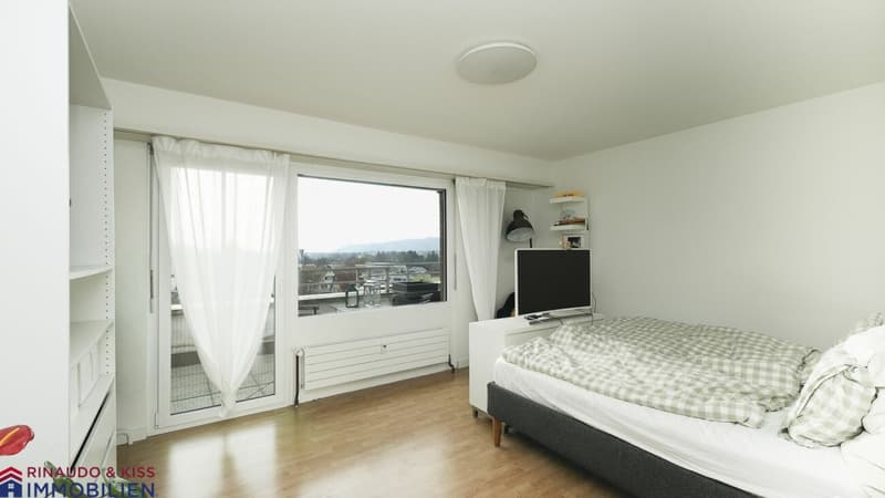 Penthouse apartment with panoramic view (10)