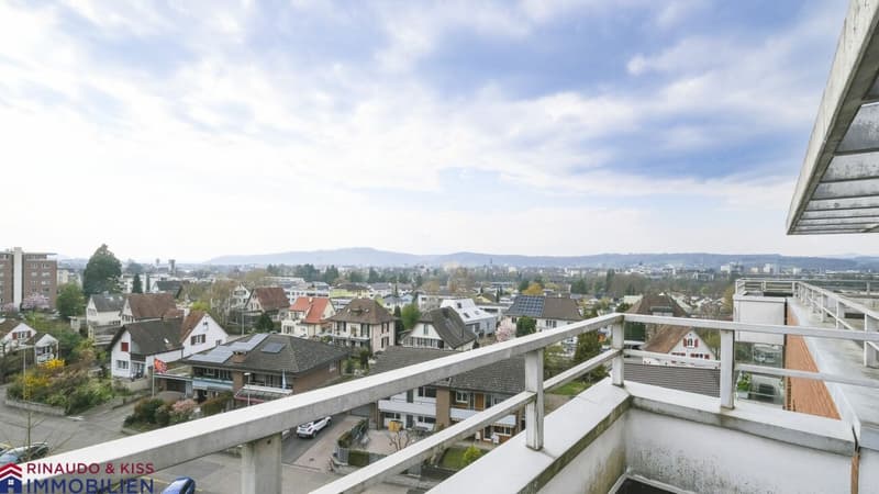 Penthouse apartment with panoramic view (5)
