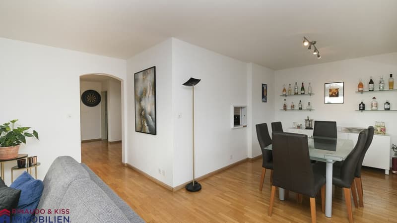 Penthouse apartment with panoramic view (3)