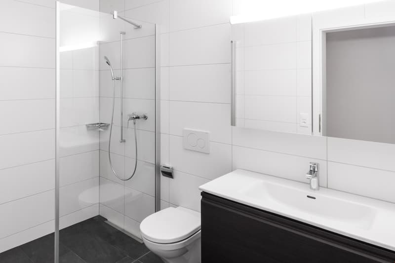 Top zentral gelegene 2 1/2-Zimmerwohnung mit grossem Balkon (4)