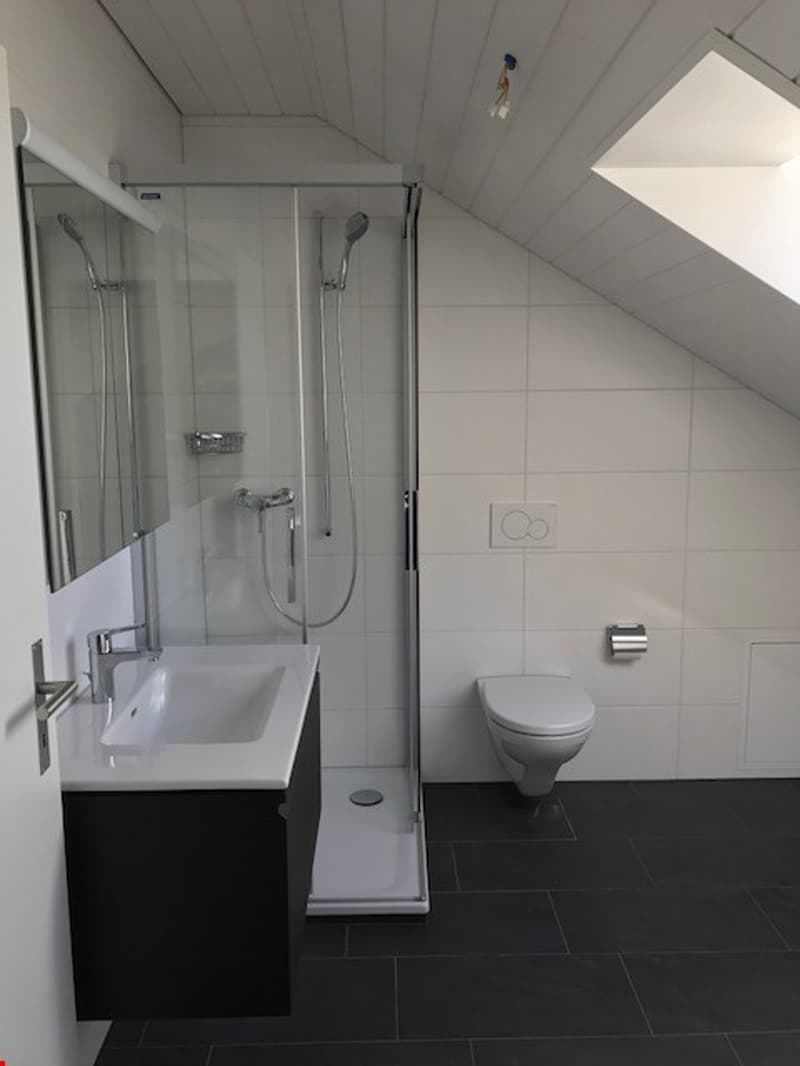 Spacious 2 1/2-room attic apartment with balcony (3)