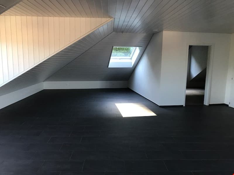 Spacious 2 1/2-room attic apartment with balcony (5)