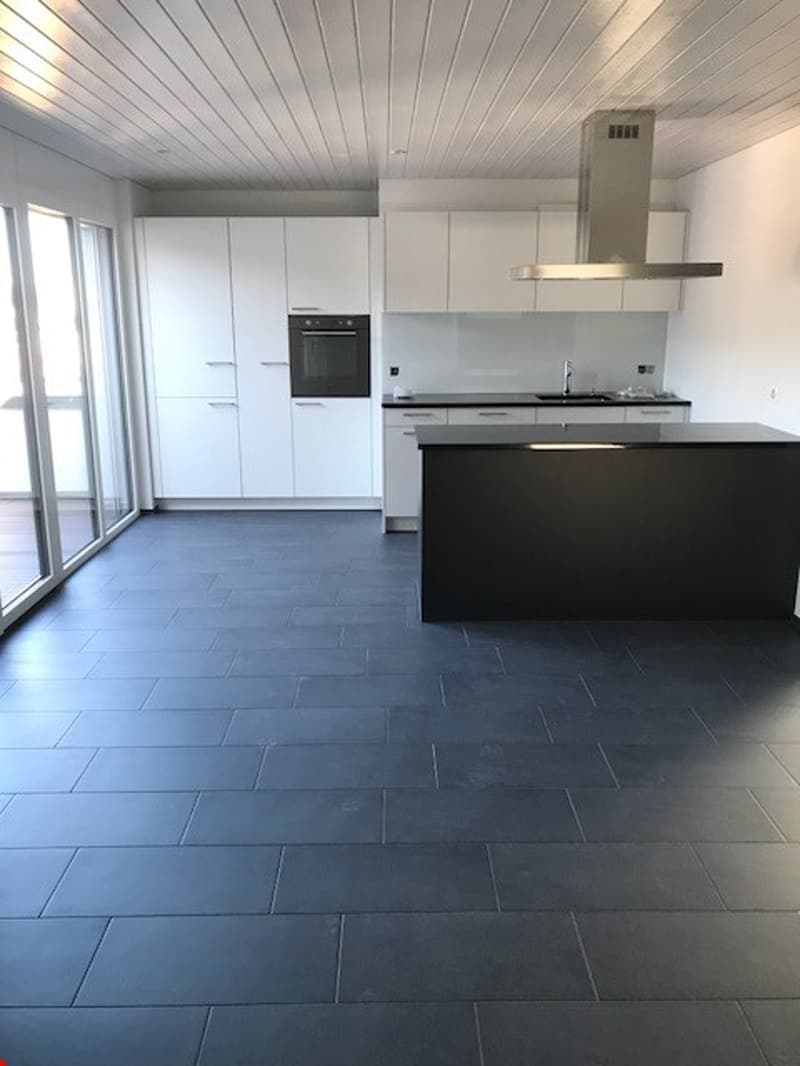 Spacious 2 1/2-room attic apartment with balcony (2)