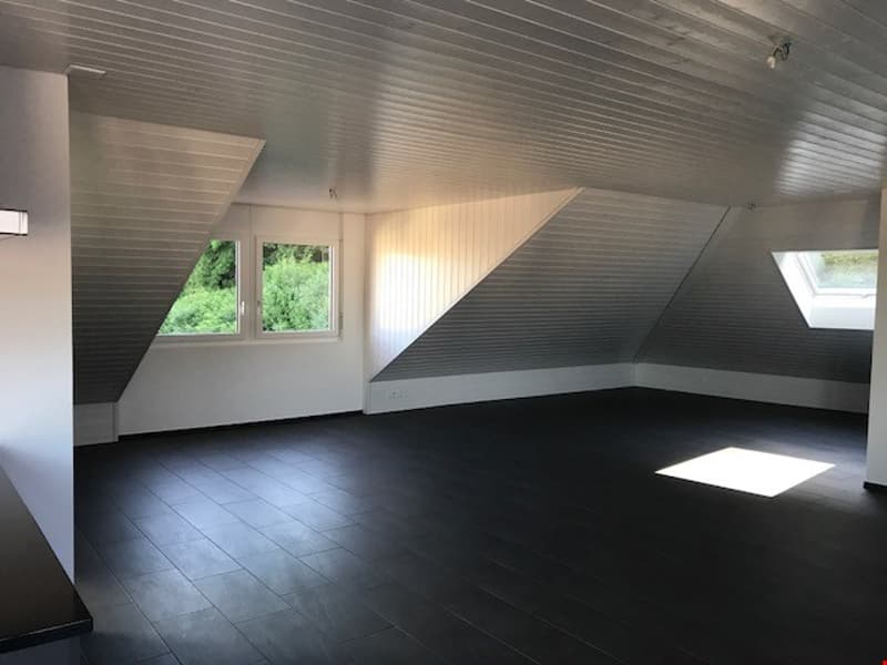Spacious 2 1/2-room attic apartment with balcony (4)
