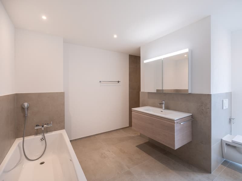 stilvolle 3.5-Zimmerwohnung in Dulliken (3)