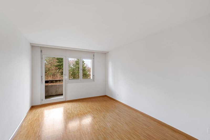 Beautiful, bright and large 4.5-room apartment (6)