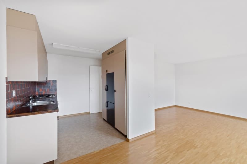 Spacious 2 1/2-room apartment (4)