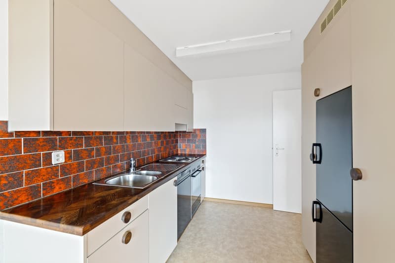 Spacious 2 1/2-room apartment (3)