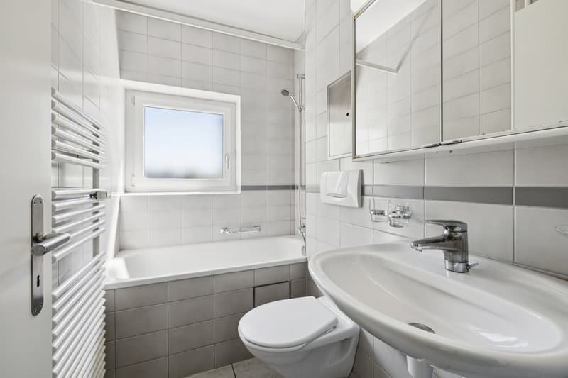 Modern single apartment (7)