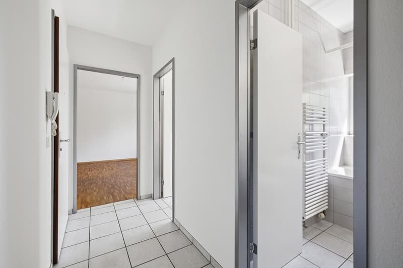 Modern single apartment (6)