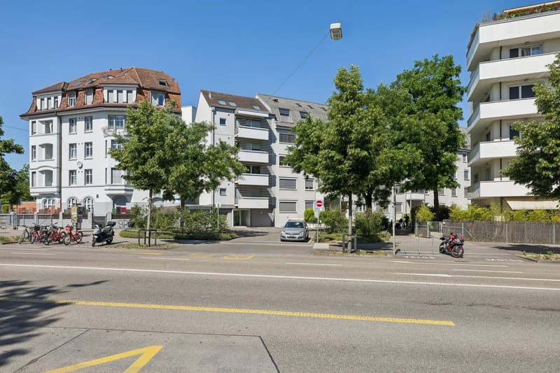 Modern single apartment (2)