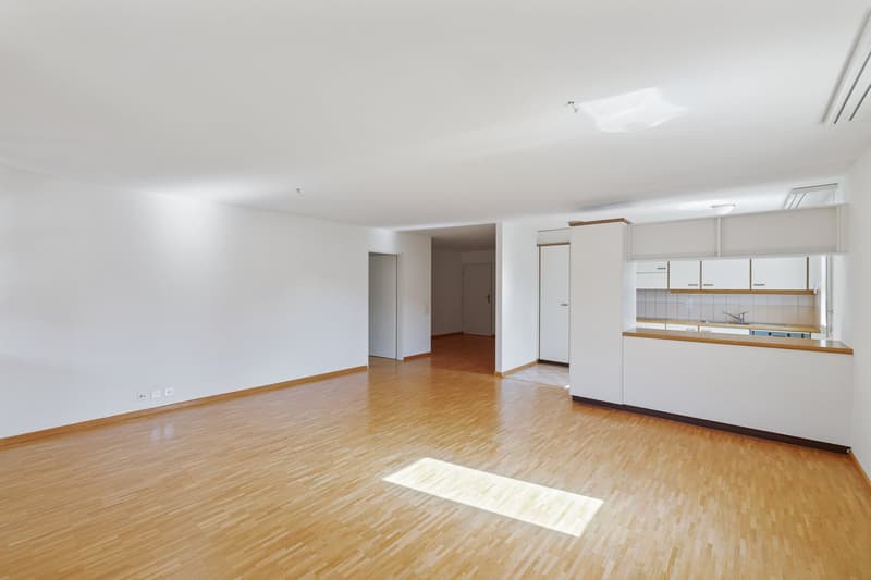 Appartement familial charmant (3)