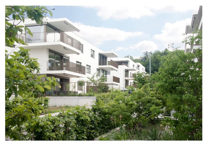 ChlyHolz: Moderne 6.5-Zimmer-Obergschosswohnung - Verkauf ab Plan (15)