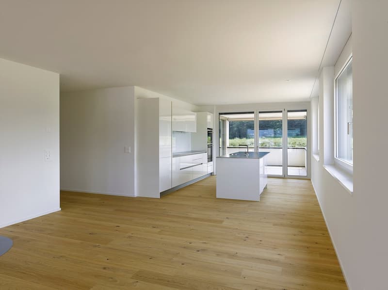 Attikawohnung im ChlyHolz - 6.5 Zimmer mit 453 m2 Nutzfläche - Verkauf ab Plan (4)