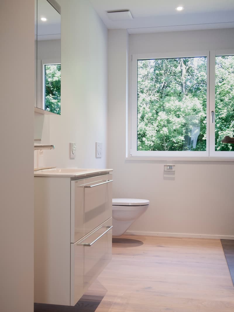 Attikawohnung im ChlyHolz - 6.5 Zimmer mit 453 m2 Nutzfläche - Verkauf ab Plan (10)
