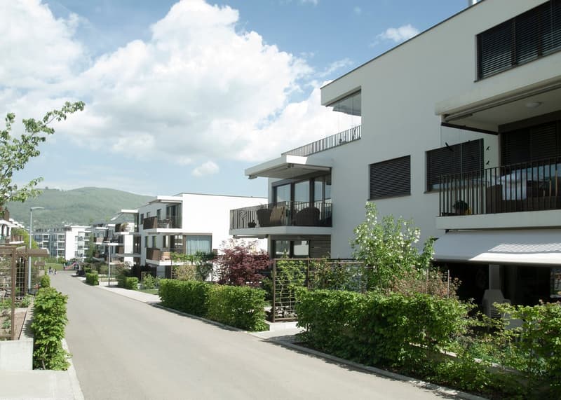 Attikawohnung im ChlyHolz - 6.5 Zimmer mit 453 m2 Nutzfläche - Verkauf ab Plan (17)