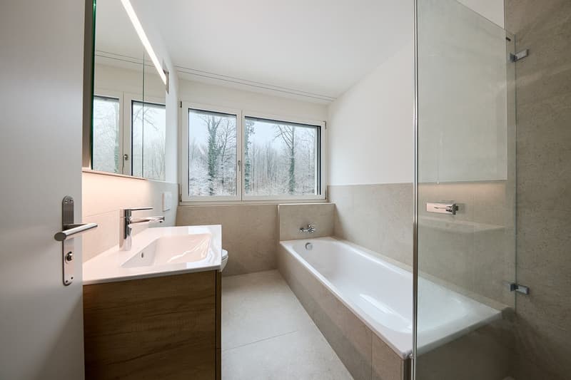 Ready-to-move-in new attic apartment in ChlyHolz (7)