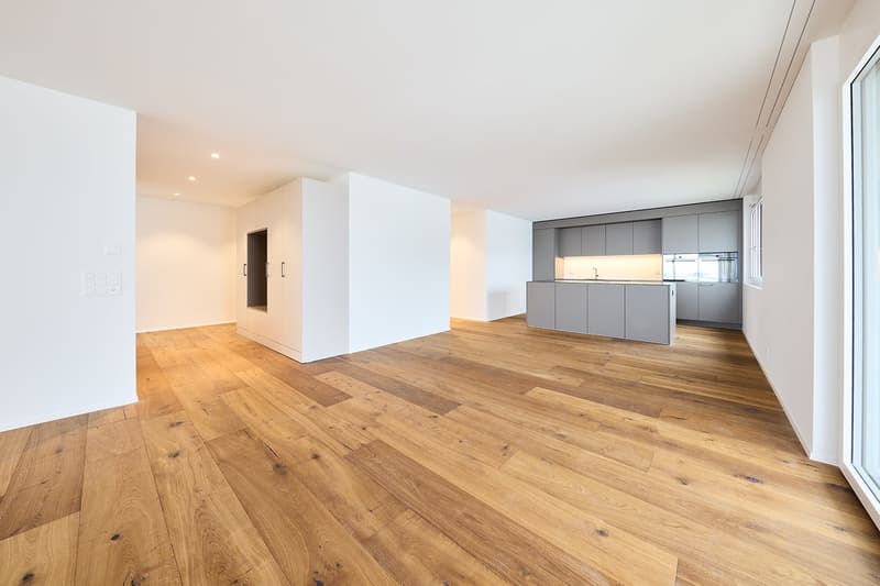 Ready-to-move-in new attic apartment in ChlyHolz (1)