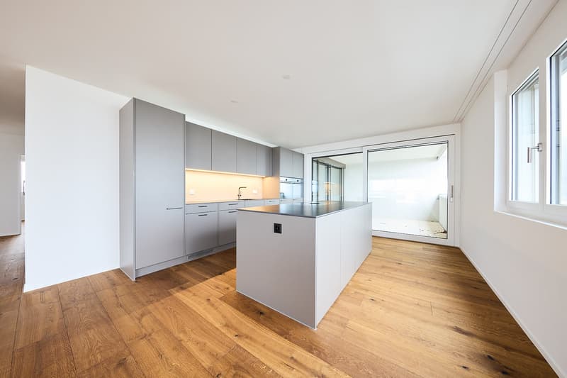 Ready-to-move-in new attic apartment in ChlyHolz (5)