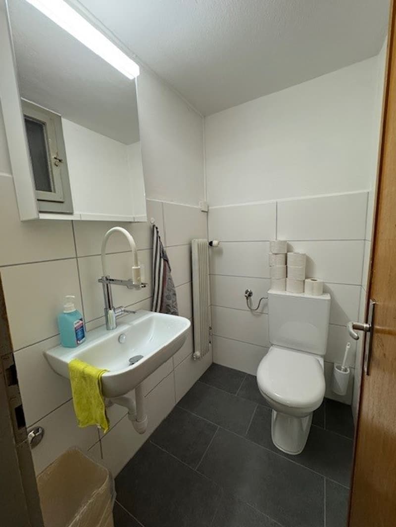 white walls, sink with faucet, radiator, toilet, tissue, trash can